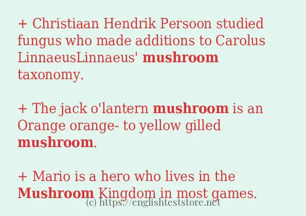 mushroom how to use in sentences