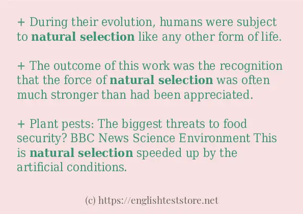 Natural Selection Some Example Sentences 