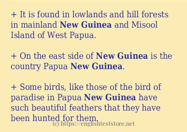 new guinea some example sentences