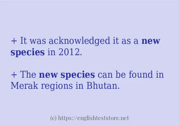 new species some example sentences new species some example sentences