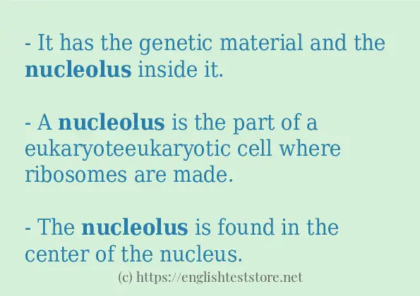 nucleolus some example sentences