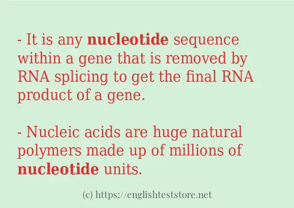 nucleotide some example sentences
