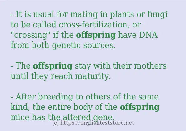 offspring example in sentences