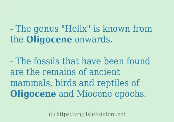 oligocene how to use?