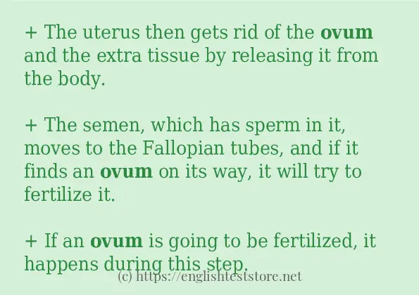 ovum use in-sentences