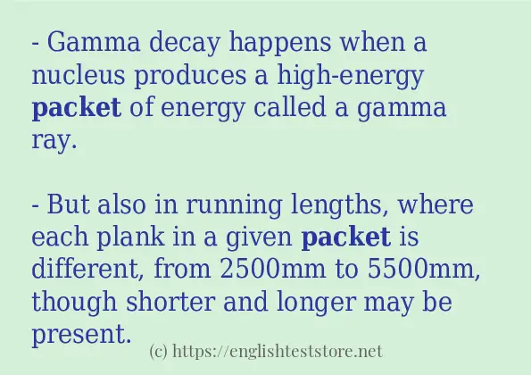 packet - sentence examples