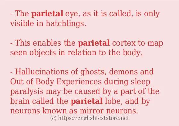 parietal how to use?