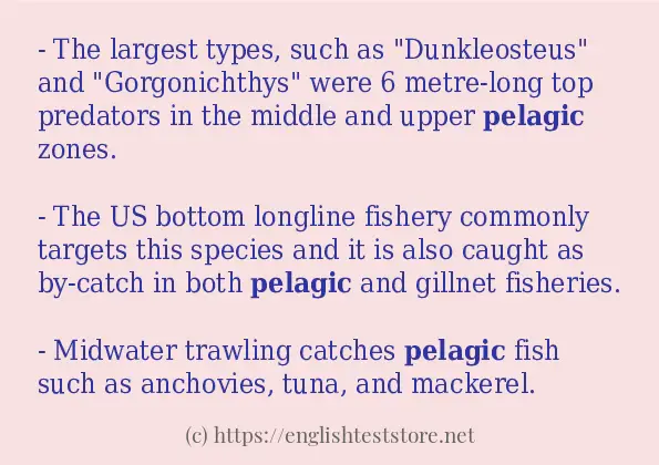 pelagic in-sentences