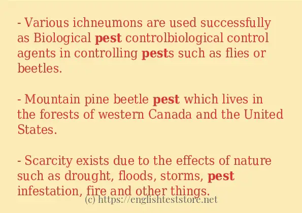 pest how to use?