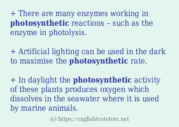 photosynthetic - example sentences