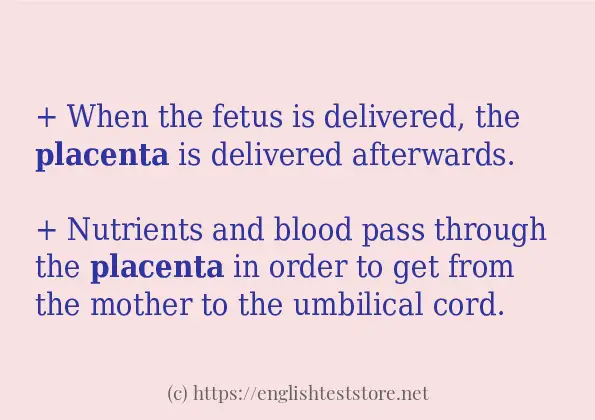 placenta some ways to use