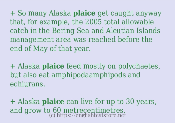 plaice use in sentences