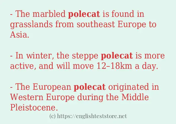 polecat example in sentences