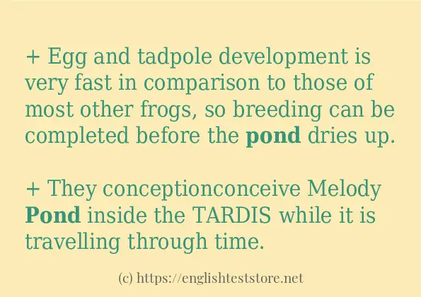 pond how to use in sentences