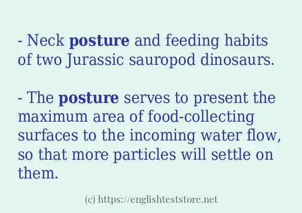 posture - sentence examples