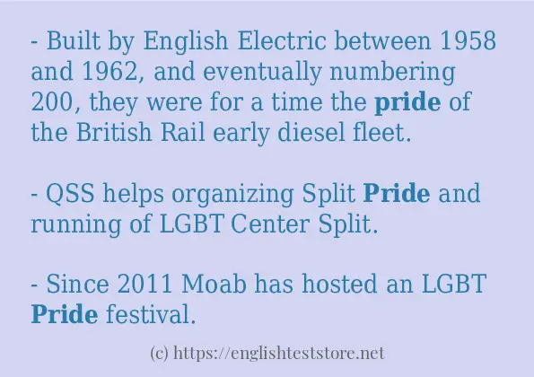 pride use in sentences