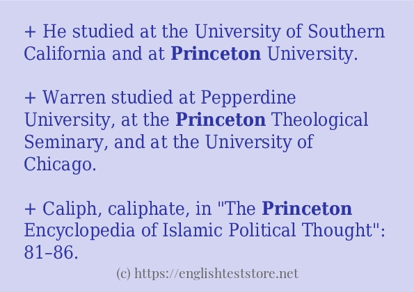 princeton some example sentences