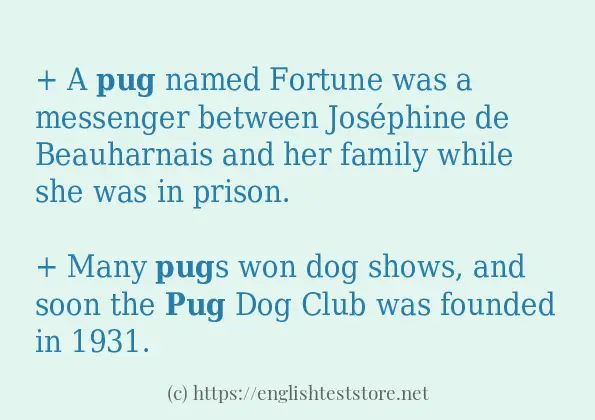 pug in sentences?