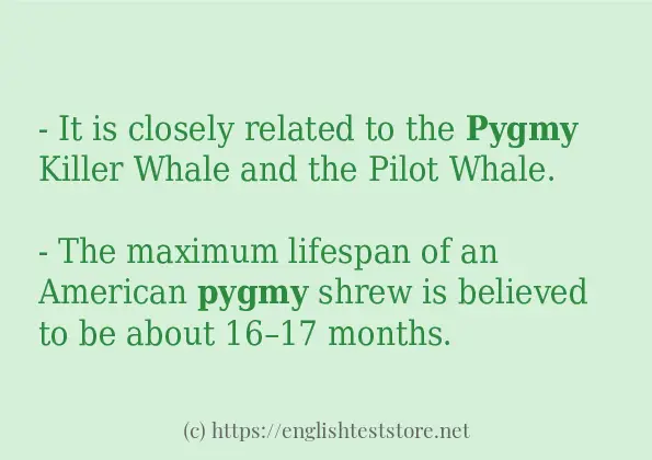 pygmy some example sentences