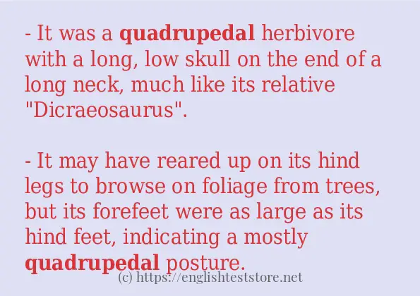 quadrupedal-sentence-examples-englishteststore-blog