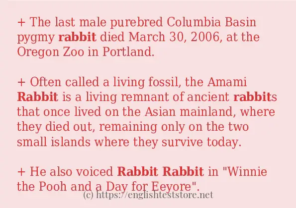 rabbit in-sentences