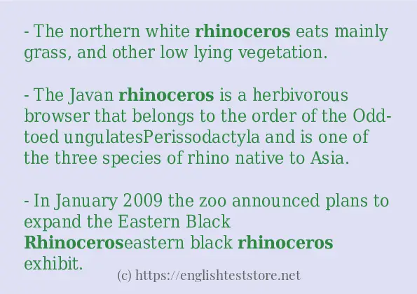 rhinoceros how to use?