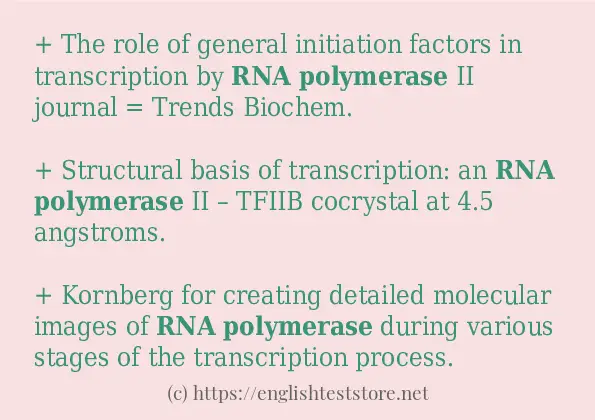rna polymerase use in-sentences
