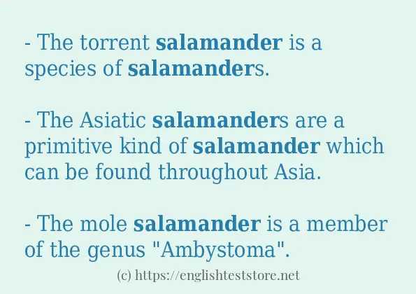 salamander use in sentences