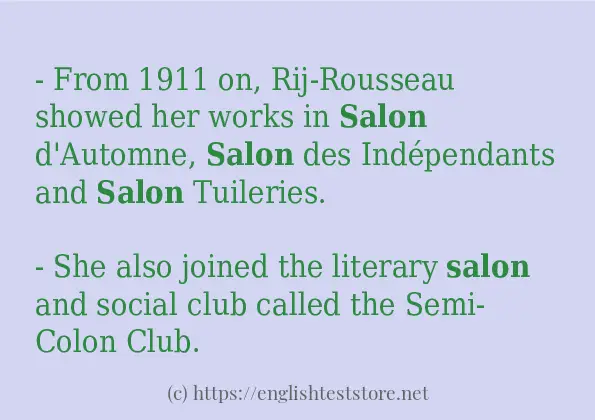 salon how to use?
