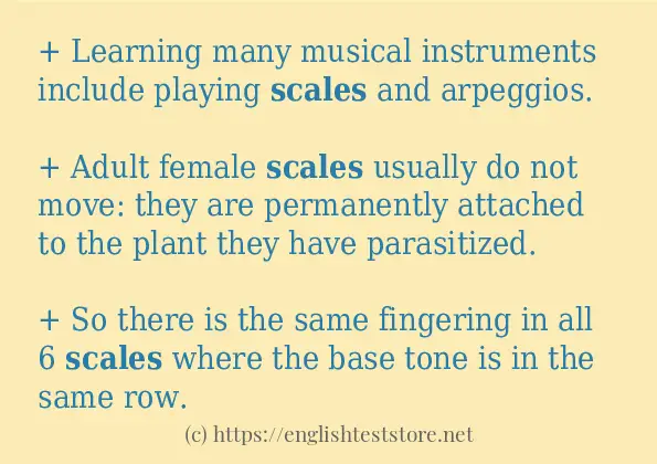 scales in-sentences