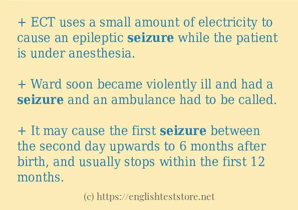 seizure - some sentence examples