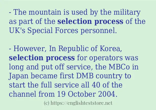 selection process - example sentences