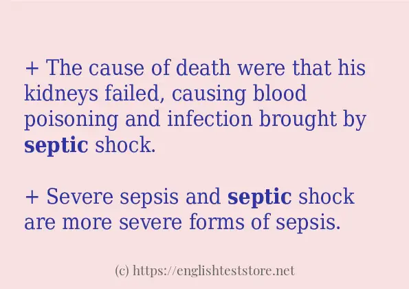 septic - some sentence examples