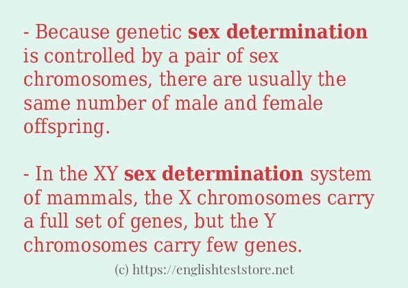 Sex Determination In Sentences Englishteststore Blog 6133