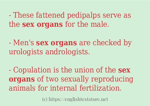 Sex Organs Example In Sentences Englishteststore Blog 2172