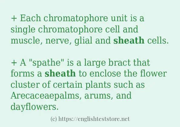 sheath use in sentences