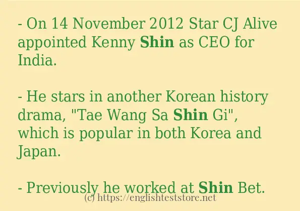 shin use in sentences