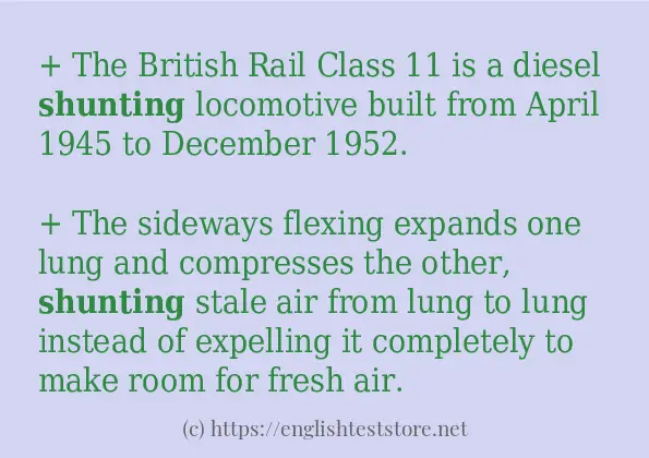 shunting - some sentence examples