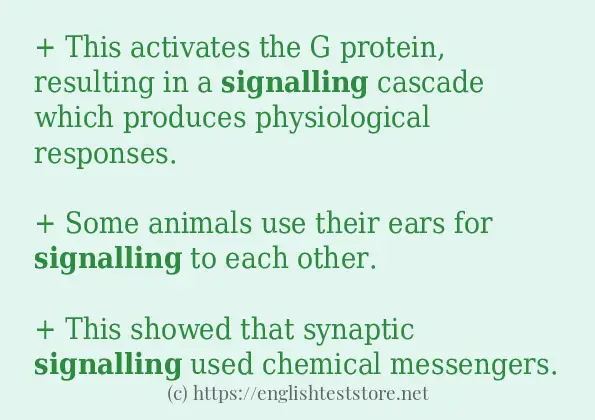 signalling example in sentences