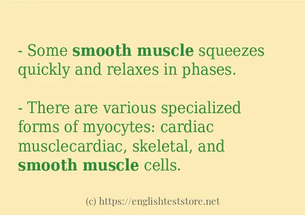 smooth muscle use in sentences