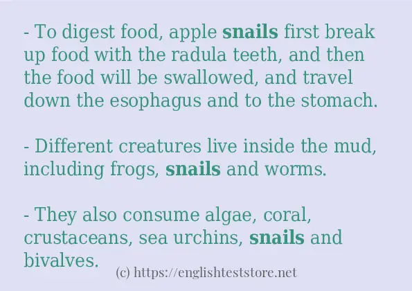 snails - example sentences