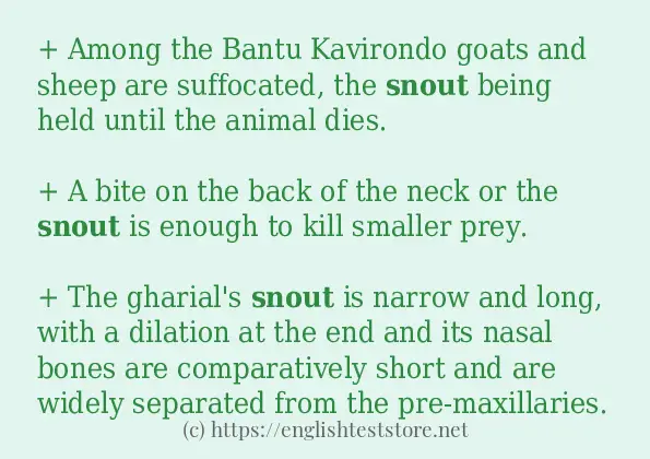 snout - example sentences