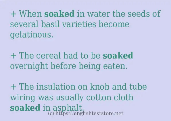 soaked how to use in sentences