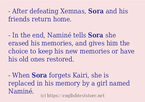sora - some sentence examples