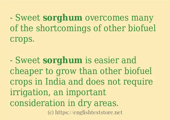 sorghum - example sentences sorghum - example sentences