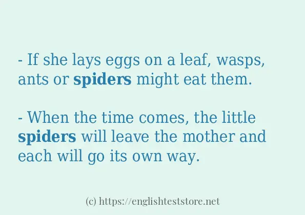 spiders how to use in sentences