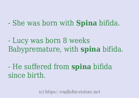 spina example in sentences