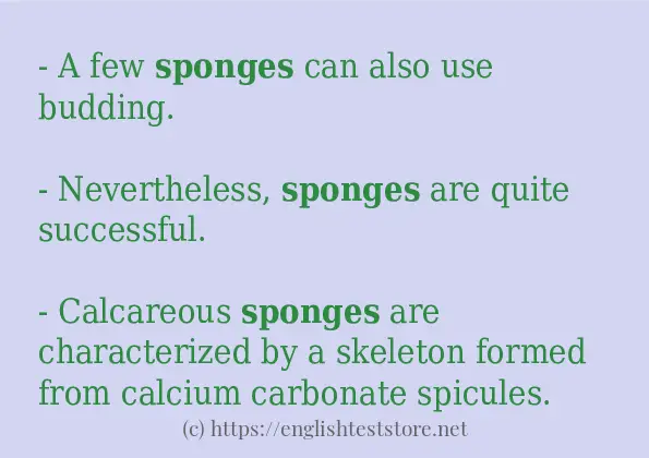 sponges use in sentences