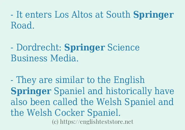 springer some example sentences