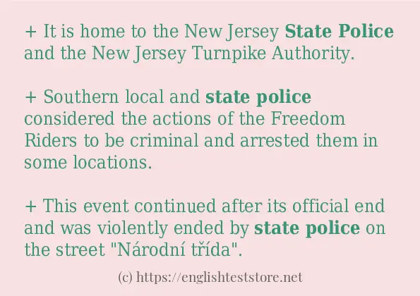 state police - some sentence examples